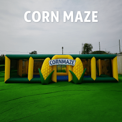 Corn Maze