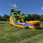 IMG 3853 1762147497 photogallery