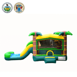 tropical20combo 1744080128 Tropical Combo Wet/Dry